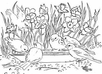 Раскраски природа Природа вокруг нас. Раскрась красивую природу которая окружает нас.