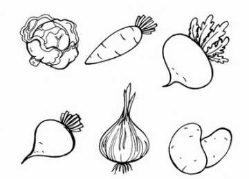 Раскраски Изучаем овощи. Раскраски с изображениями различных овощей. 