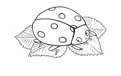 Раскраски насекомые Раскраски для детей насекомые которые живут у нас во дворе. 