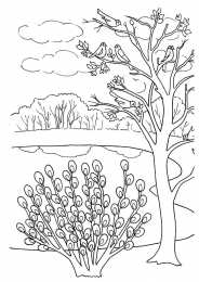 Раскраски природа Природа вокруг нас. Раскрась красивую природу которая окружает нас.