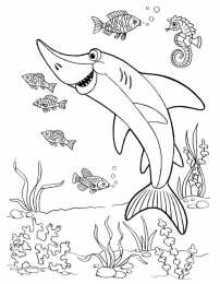 Раскраски морские обитатели Раскраски для детей морские обитатели. Обитатели воды.       