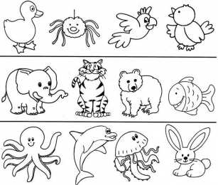 Раскраски найди лишний предмет Ребенок должен найти лишний предмет из предложенных. Найди предмет. 