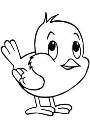 Раскраски птицы Раскраски для детей домашние и дикие птицы. Изучаем птиц.    