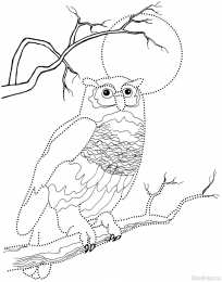 Обитатели леса Раскраска обитатели леса. Обучающая раскраска про животных . 