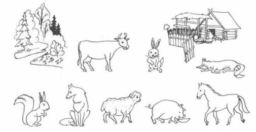 Раскраски Кто Где Живет Обучающая познавательная раскраска для детей Кто Где Живет. 