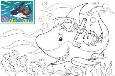 Раскраски морские обитатели Раскраски для детей морские обитатели. Обитатели воды.       