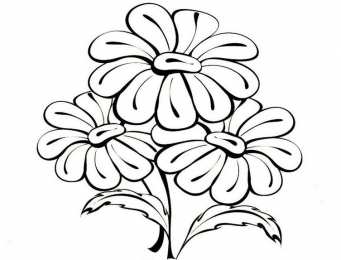 Раскраски букеты Раскраски букеты для девочек. Букет цветов для мамы. Цветы. 