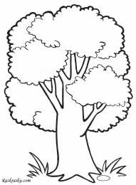 Раскраски деревья Раскраски деревья для дошкольников и первоклассников.       