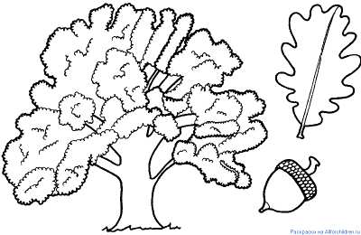 Раскраски деревья Раскраски деревья для дошкольников и первоклассников.       