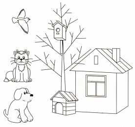 Раскраски Кто Где Живет Обучающая познавательная раскраска для детей Кто Где Живет. 