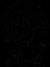 Раскраски деревья Раскраски деревья для дошкольников и первоклассников.       