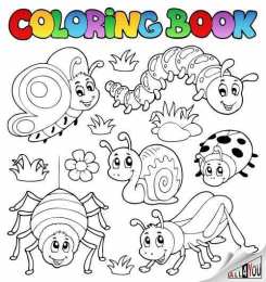 Раскраски насекомые Раскраски насекомые. Насекомые на нашей улице.               