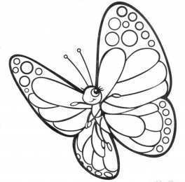 Раскраски насекомые Раскраски для детей насекомые которые живут у нас во дворе. 