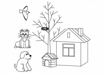 Раскраски Кто Где Живет Обучающая познавательная раскраска для детей Кто Где Живет. 
