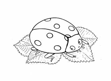 Раскраски насекомые Раскраски насекомые. Насекомые на нашей улице.               