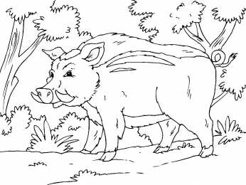 Обитатели леса Раскраска обитатели леса. Обучающая раскраска про животных . 