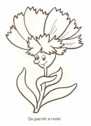 Раскраски цветы Раскраски для детей дошкольного возраста, изучаем цветы.    