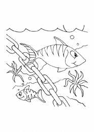 Раскраски морские обитатели Раскраски для детей морские обитатели. Обитатели воды.       