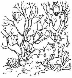 Раскраски кто спрятался? Обучающая раскраска для детей под названием Кто спрятался на картинке?