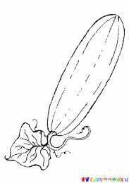 Раскраски Изучаем овощи. Изучаем овощи. Разукрась овощи. Раскраска для детей про овощи.