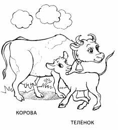 Раскраски домашние животные Раскраски для детей домашние животные. Наши питомцы.                      