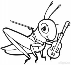 Раскраски насекомые Раскраски для детей насекомые которые живут у нас во дворе. 