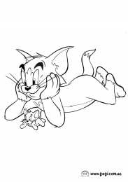 Раскраска Том и Джерри Раскраски для девочек про Кота Тома и мышь Джерри.          