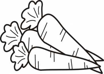 Раскраски Изучаем овощи. Раскраска красивой морковки для изучения овощей