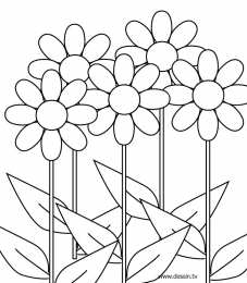 Раскраски цветы Раскраски для детей дошкольного возраста, изучаем цветы.    