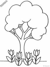 Раскраски деревья Раскраски деревья для дошкольников и первоклассников.       