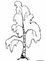 Раскраски деревья Раскраски деревья для дошкольников и первоклассников.       