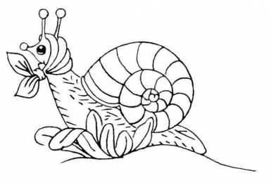 Раскраски насекомые Раскраски для детей насекомые которые живут у нас во дворе. 