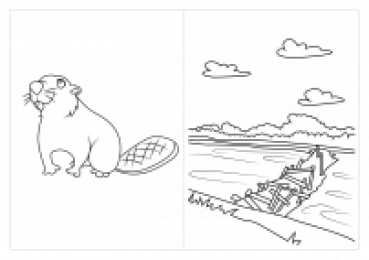 Раскраски Кто Где Живет Раскрась и расскажи где живут животные. Обучающая раскраска .