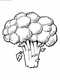 Раскраски Изучаем овощи. Раскраски с изображениями различных овощей. 