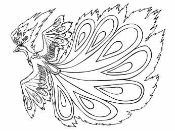 Раскраски птицы Раскраски для детей домашние и дикие птицы. Изучаем птиц.    