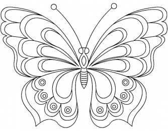 Раскраски бабочки Раскраски для девочек бабочки. Красивые крылья бабочек.      