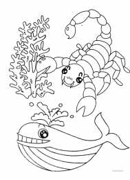Раскраски морские обитатели Раскраски для детей морские обитатели. Обитатели воды.       