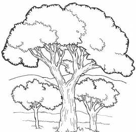 Раскраски лесной пейзаж Раскраски для детей лесной пейзаж. Лес. Осень в лесу. Пейзаж.