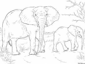 раскраски дикие животные Раскраски для детей. Изучаем диких животных. Животные леса. 