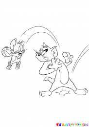 Раскраска Том и Джерри Раскраски для девочек про Кота Тома и мышь Джерри.          