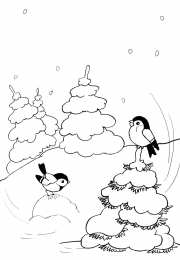 Раскраски Раскраски Зима Раскраски для детей на тему зима. Зима в нашем лесу. Белый снег. Выпал первый белый снег. Дети лепят возле дома снеговика. Дети катаются на санках. Дети радуются снегу. Мишка лег спать. Раскрась зиму. Белый снег. Зима у нас в лесу