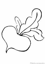 Раскраски Изучаем овощи. Раскраски с изображениями различных овощей. 