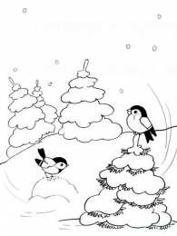 Раскраски Зима Обучающие раскраски на тему зима у нас в лесу. Картинки зимы.