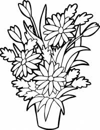 Раскраски цветы Раскраски для детей дошкольного возраста, изучаем цветы.    