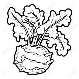 Раскраски Изучаем овощи. Раскраски с изображениями различных овощей. 