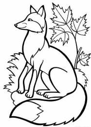 Обитатели леса Раскраска обитатели леса. Обучающая раскраска про животных . 