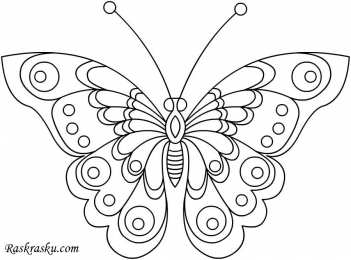 Раскраски бабочки Раскраски для девочек бабочки. Красивые крылья бабочек.      