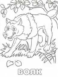 Обитатели леса Раскраска обитатели леса. Обучающая раскраска про животных . 