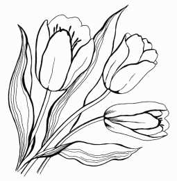 Раскраски Изучаем цветы Раскраска для детей изучаем цветы. Раскрашиваем красивые цветы.