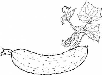 Раскраски Изучаем овощи. Изучаем овощи. Разукрась овощи. Раскраска для детей про овощи.